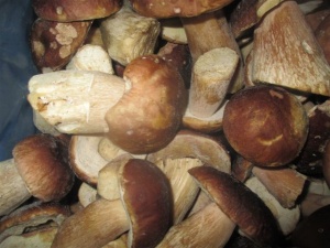 Белый гриб целый 2 сорт (6-12см) 7 кг.