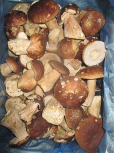 Белый гриб целый 1 сорт (4-8см) 8 кг.